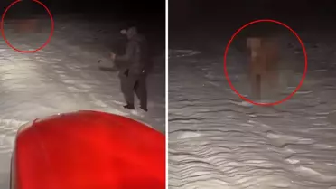 Traktörlerle karlı arazide inek arama çalışması