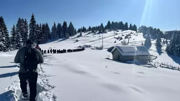 Dereli Göksu Travertenlerinde Buzlu Patikalar Açıldı: GİDOSK'un Kış Yürüyüşü