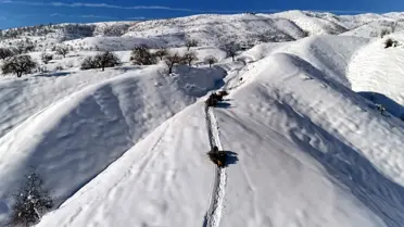 Kızakla ot taşıyan besiciler