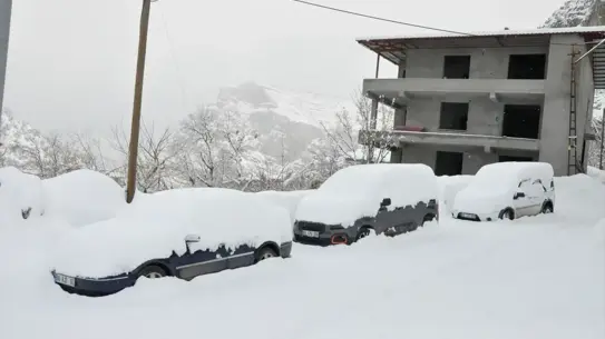 Öğretmenler ve çiçekler