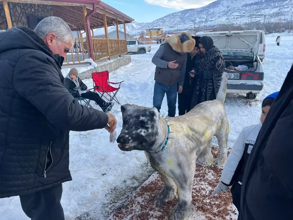 Akıncılar’da Buz ve Müzik Rüzgarı