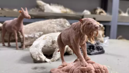 Polimer kilden yapılan fosil minyatürleri