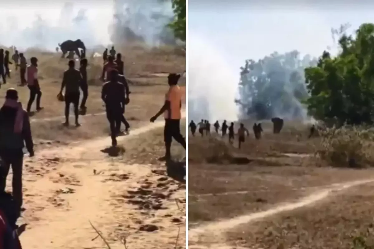 Hindistan’da Kontrolden Çıkan Fil 22 Kişiyi Öldürdü, Köylüler Çatı ve Ağaçlarda Geceyi Geçiriyor