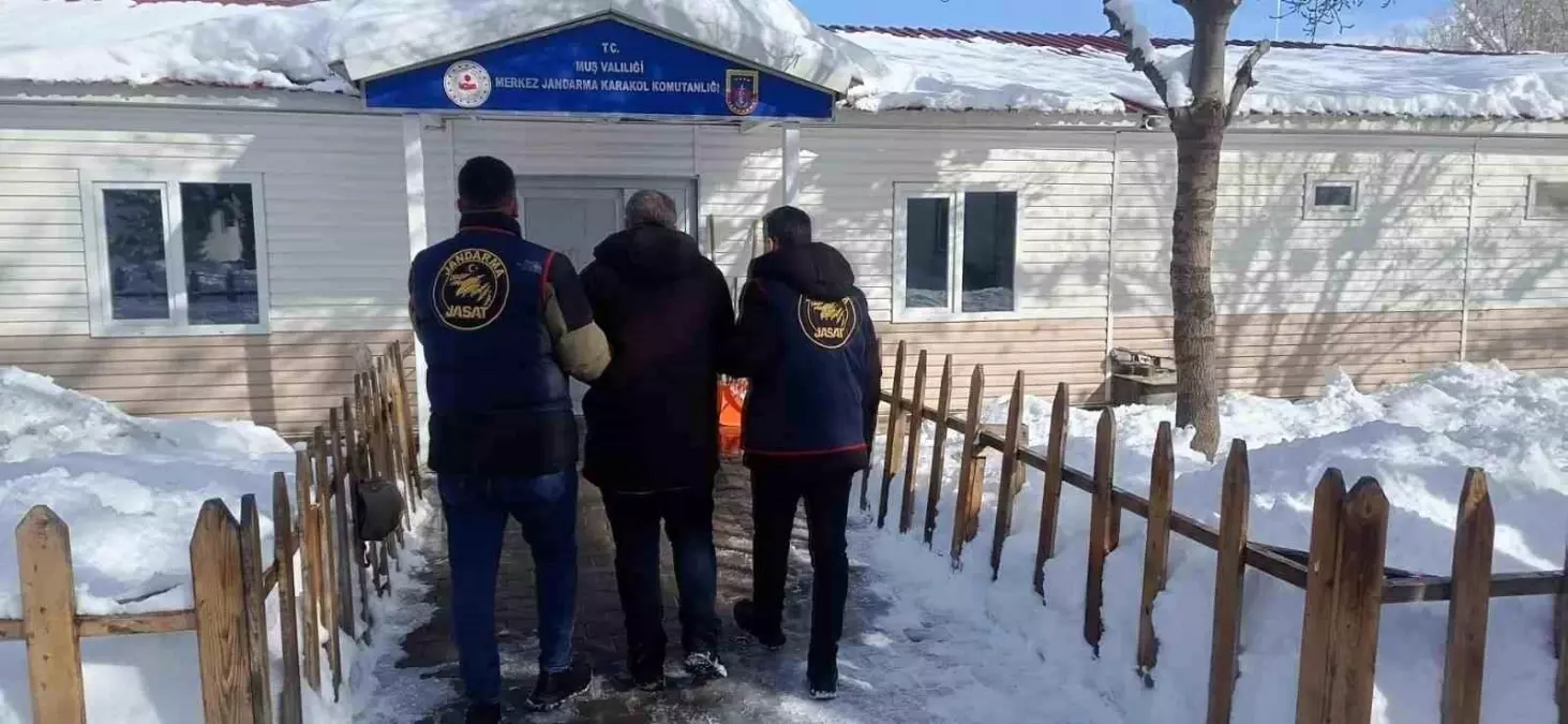 Muş’ta Jandarma Operasyonu: 4 Yıl 2 Ay Hapis Cezalı Şahıs Yakalandı