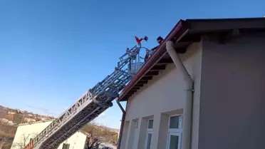 Kurtarılan kedi itfaiye ekibi tarafından taşınırken