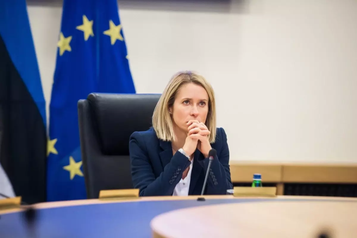 AB, Grönland'ın Egemenliğine Destek Vermeye Karar Verdi