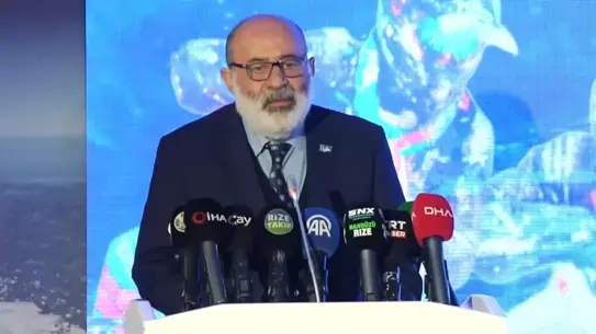 Şampiyonanın pist görüntüsü