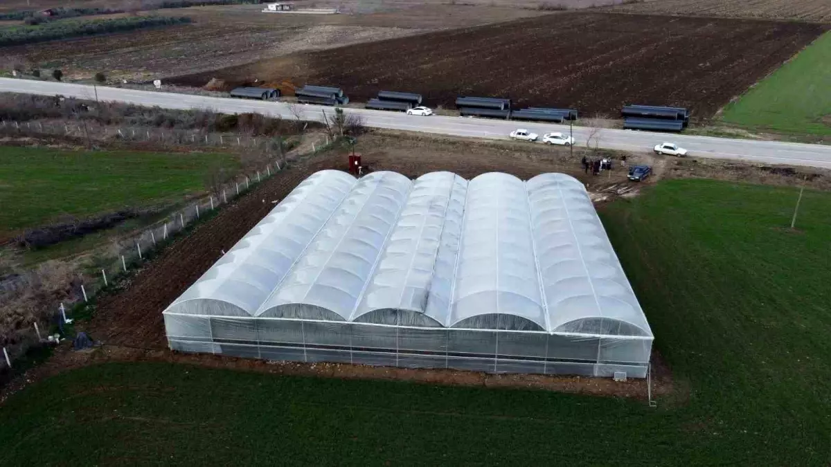 Adana İmamoğlu'nda genç çiftçilerin kurduğu sera