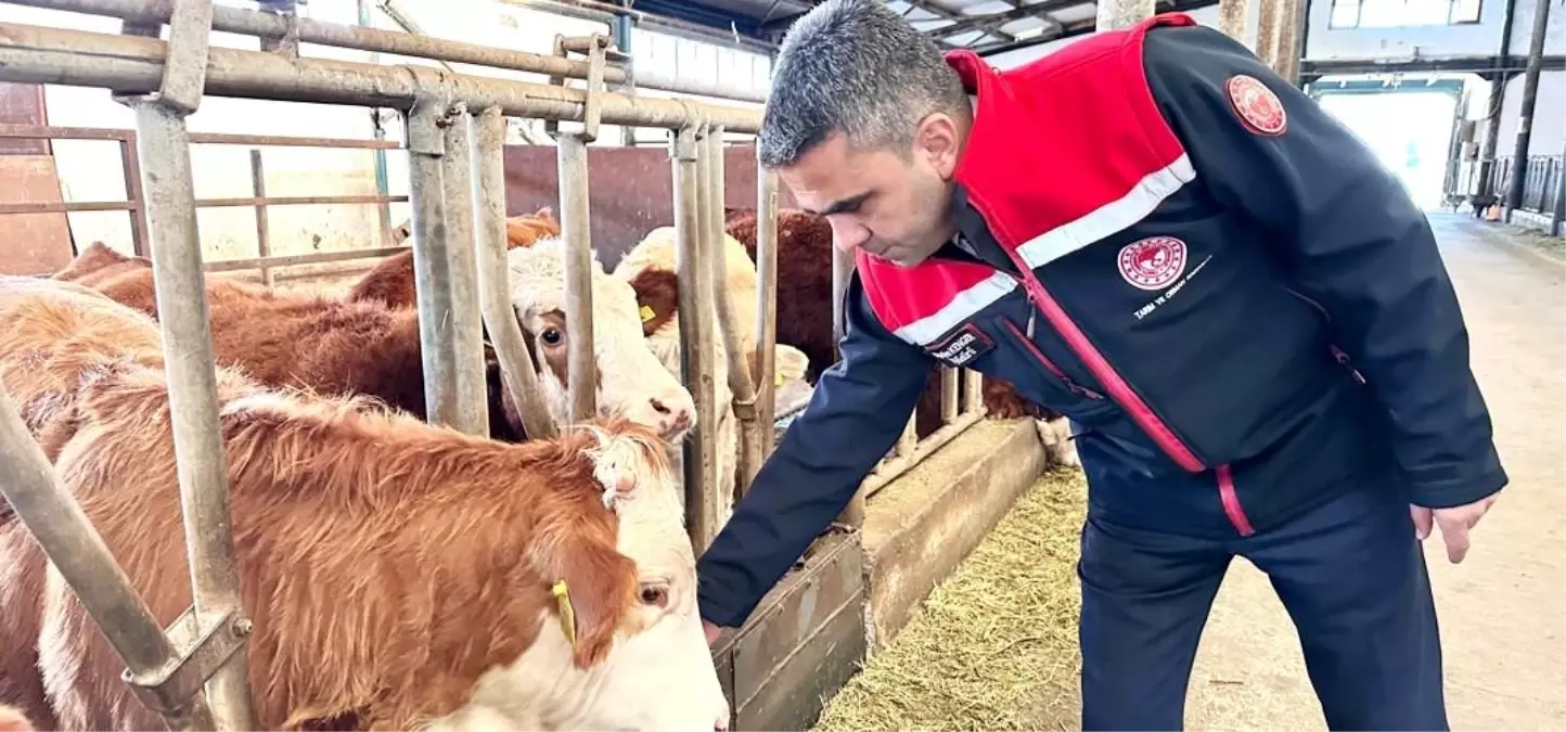 Erzurum’da 2025 Tarım ve Hayvancılık Sektörüne 1.66 Milyar TL Destek Açıklandı