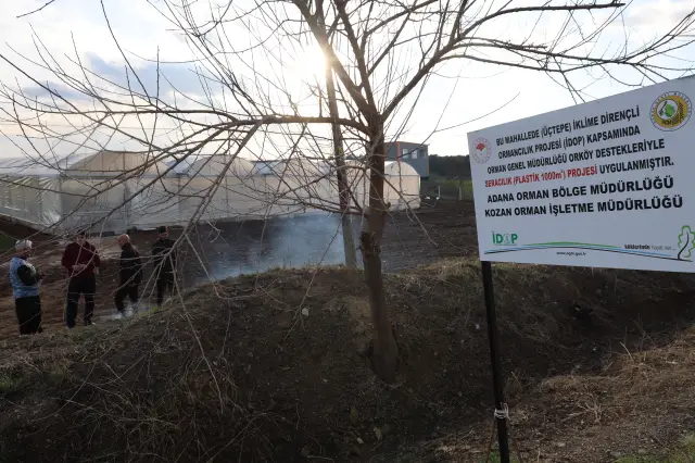 Seralarda çalışan genç çiftçiler