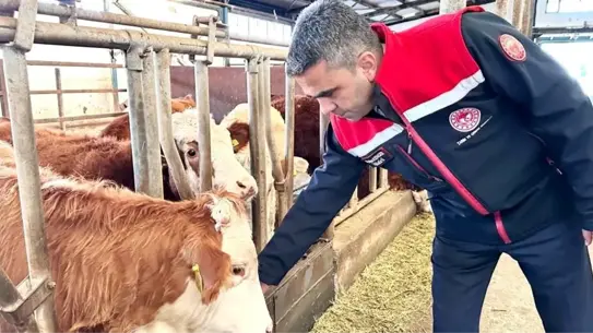 Tarım destek belgesi