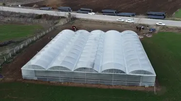 Genç Çiftçiler, Asgari Ücretten Kaçarak Köyde Seralarda 400 Bin TL Kazanıyor