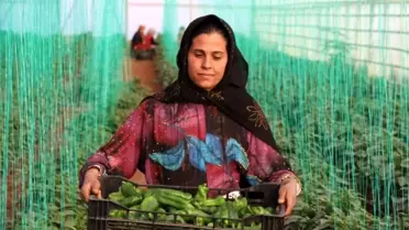 Tarım girdi fiyat endeksi grafiği