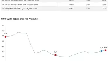 Üretici fiyatları verileri tablosu