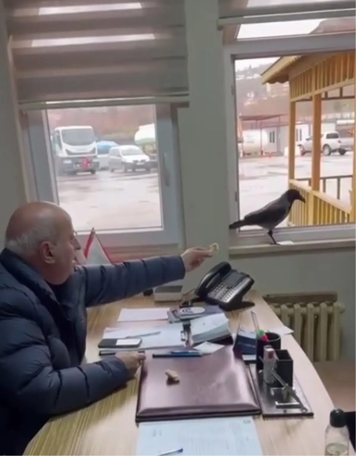 Beşikdüzü Belediye Başkanı Şantiye Odasında Kargaya Ekmeğini Uzattı