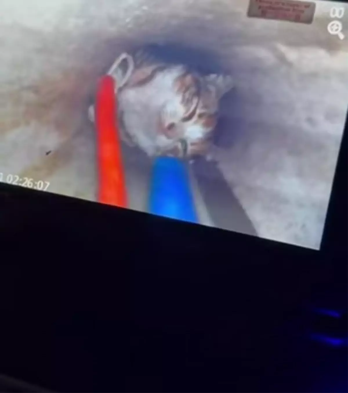 Ayvalık'ta 18 Metre Derinlikteki Sondaj Kuyusuna Düşen Yavru Kedi 2 Saatte Kurtarıldı