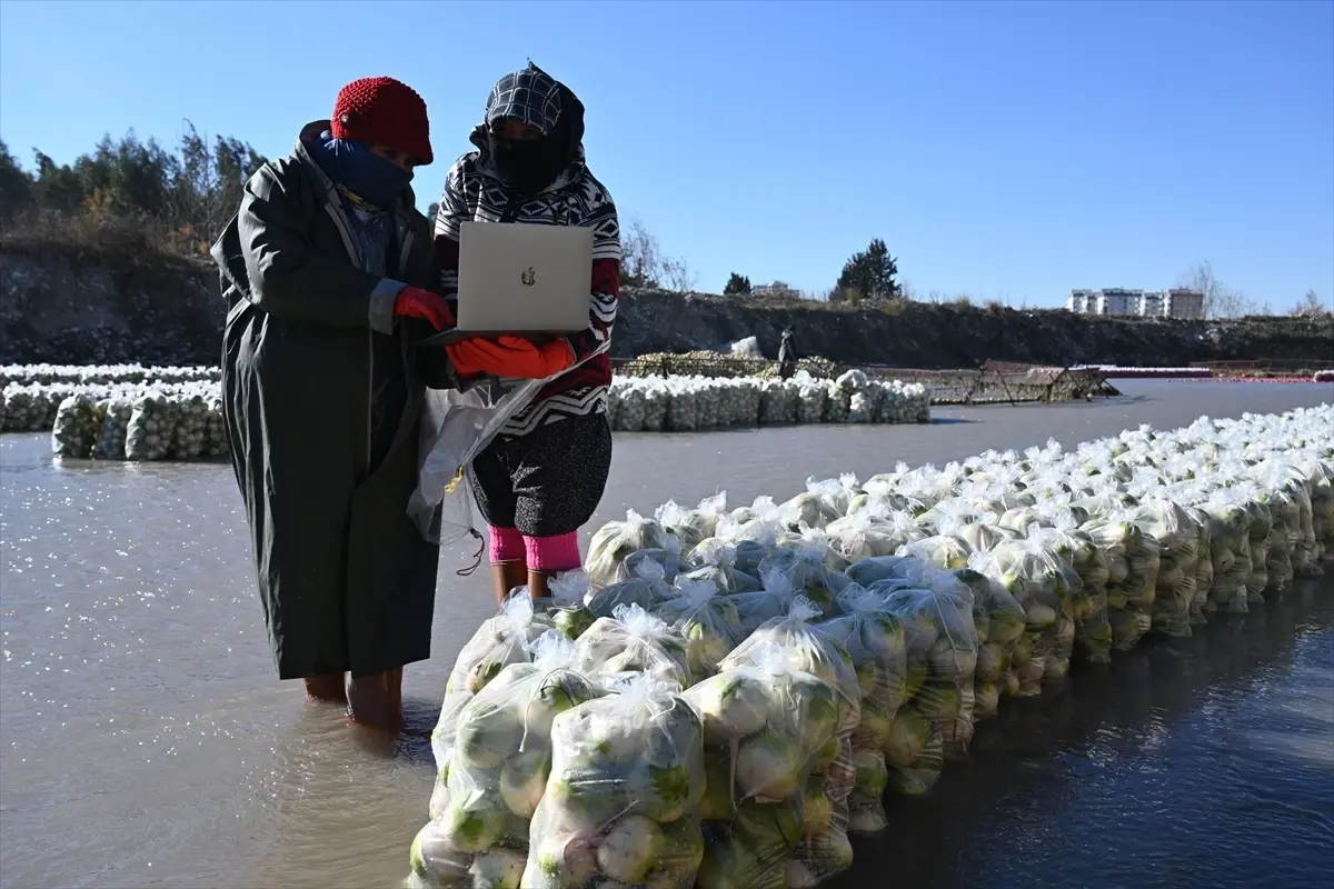Kadirli İşçileri 'Yılın Kareleri' Seçiminde Oy Kullanıyor
