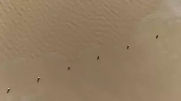 Kırklareli Karahıdır Göleti üzerindeki buz tabakası