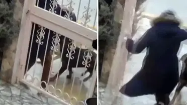Ankara’da Sahipsiz Köpek Saldırısına Maruz Kalan Kadın, Komşusunun Yardımıyla Hayata Döndü