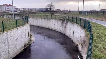 Karaağaç Deresi'nde siyah suyun akışı