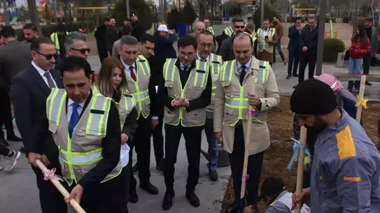 Fidan dikimi sırasında çekilen fotoğraf