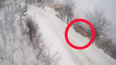 Kayarak fındık bahçesine çarpan kamyon