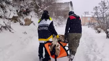 Karla kapalı yolda ambulans