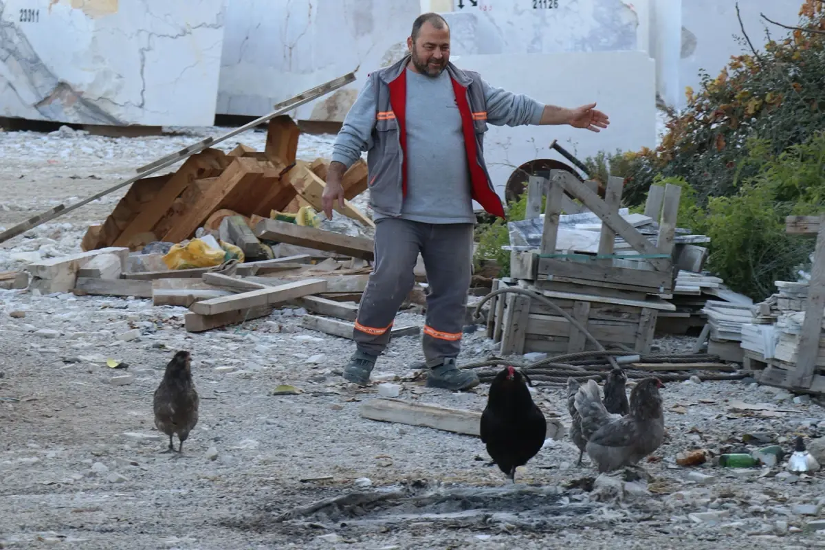 Denizli'li Mermer İşletmecisi, Fabrikasını Nadir Tavuk Irkları İçin Kuluçkaya Dönüştürdü