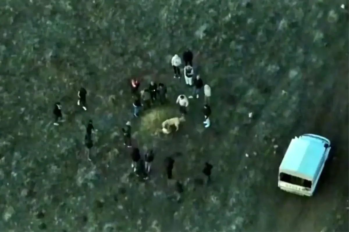 Afyonkarahisar’da Dronlu Operasyonla Köpek Dövüşü Çetesine Darbe