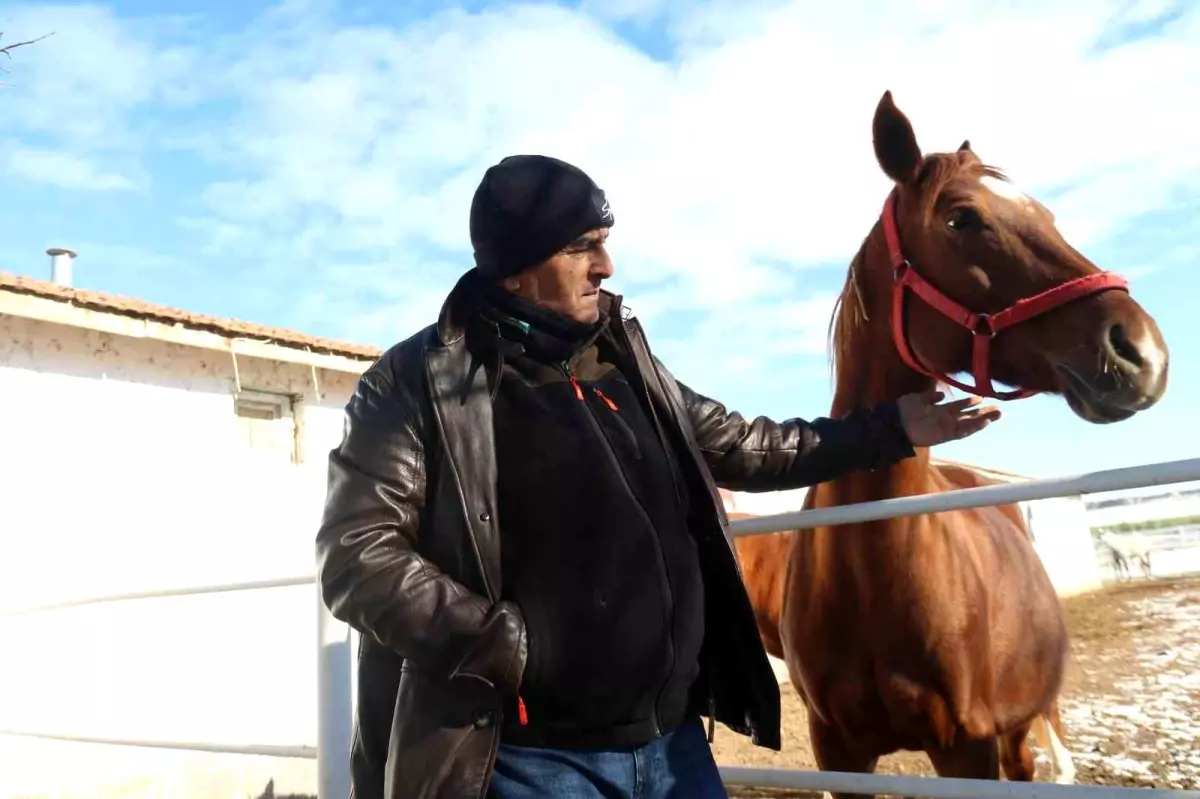 Kışın At Bakımında Karşılaşılan Zorluklar ve Çözüm Önerileri