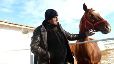 Atların kışlık barınağı