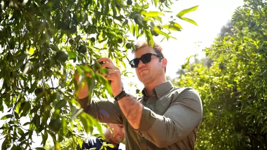 Bodrum Mandalini Türkiye Genelinde Yeni Satış ve Dağıtım Ağıyla Büyüyor