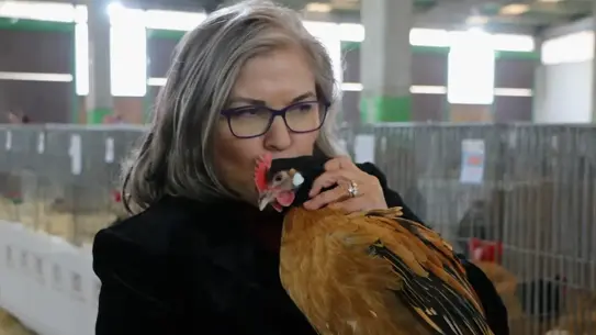 Kanatlı Sağlığında Devrim: 30 Yıllık Tecrübe ile Tavuk Doktoru Ayşegül Genç Özdemir'in Başarısı