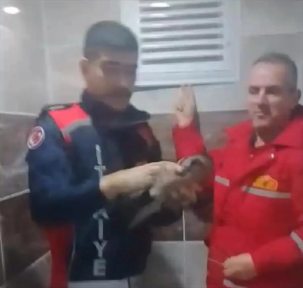 Amasya'nın Taşova İlçesinde Karga, Apartman Havalandırma Boşluğunda Kurtarıldı