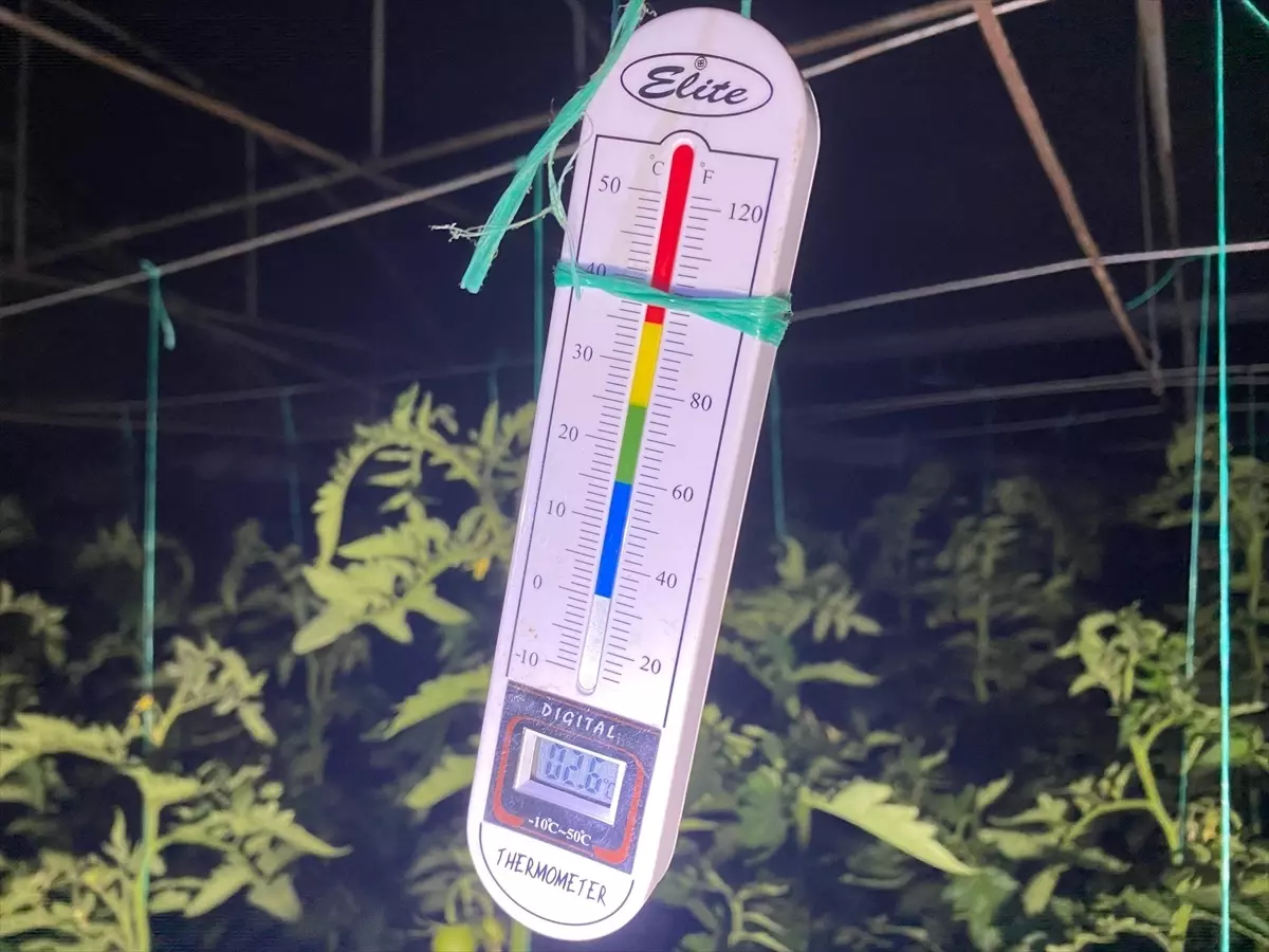 Antalya’da Çiftçiler Donla Mücadele İçin Seralarda Nöbet Tutuştu