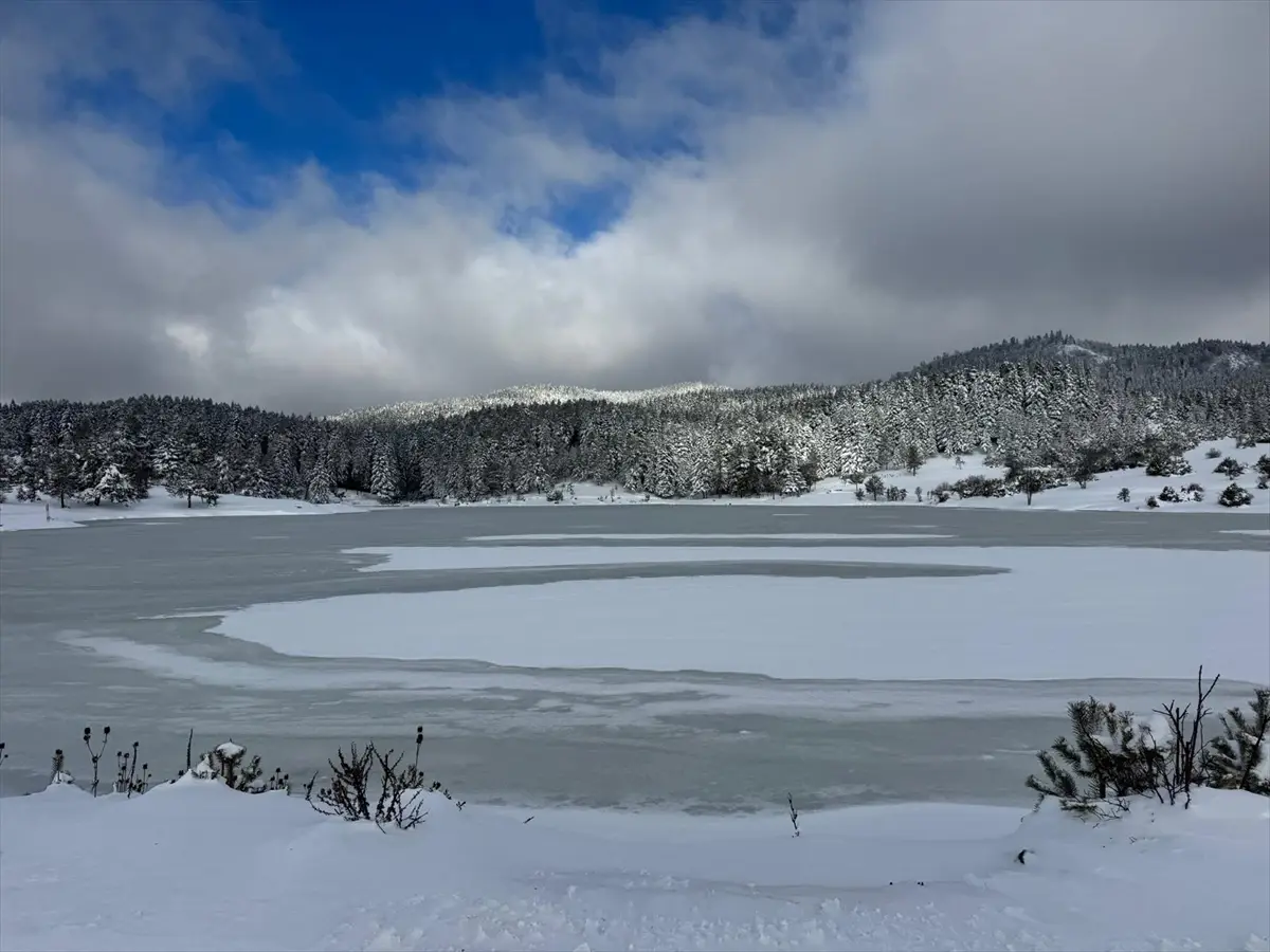 Sakarya’da Karagöl Yaylası Buzla Kaplandı: Kışın Görkemli Manzarası