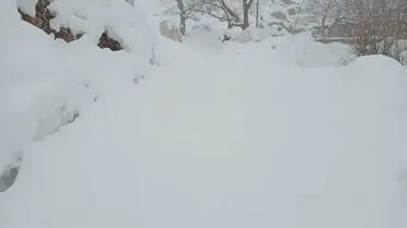 Tünel kazanıyor, hayvanlar için geçiş yolu