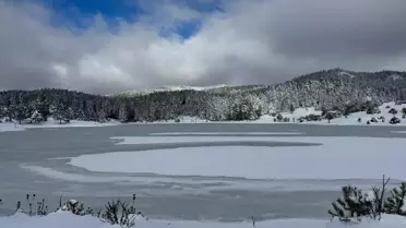 Karagöl Yaylası'nda buzla kaplı göletin yakın çekimi