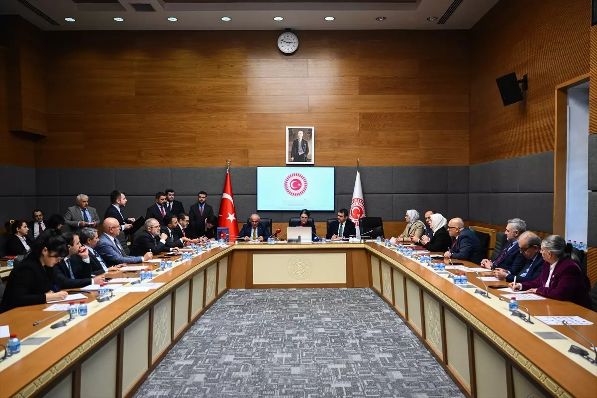 Beritan Güneş Altın, TBMM İnsan Hakları Komisyonu'na Katip Üye Olarak Seçildi