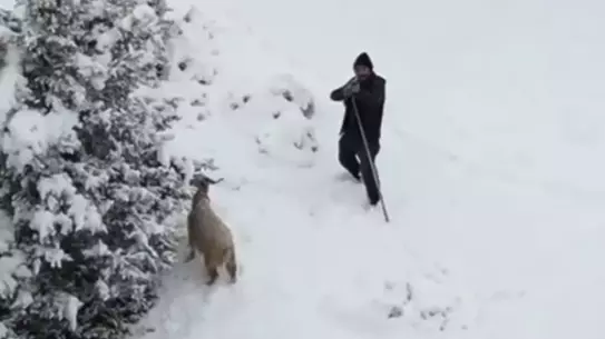 Nallıhan’da Çobanın Drone’a Tüfekle Saldırısı Kameralarda!