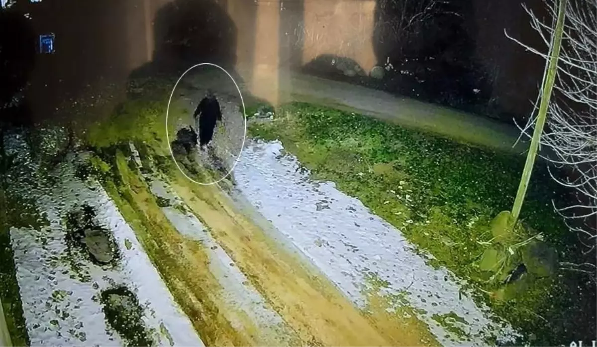 Diyarbakır’da kayıp kadının kapak fotoğrafı