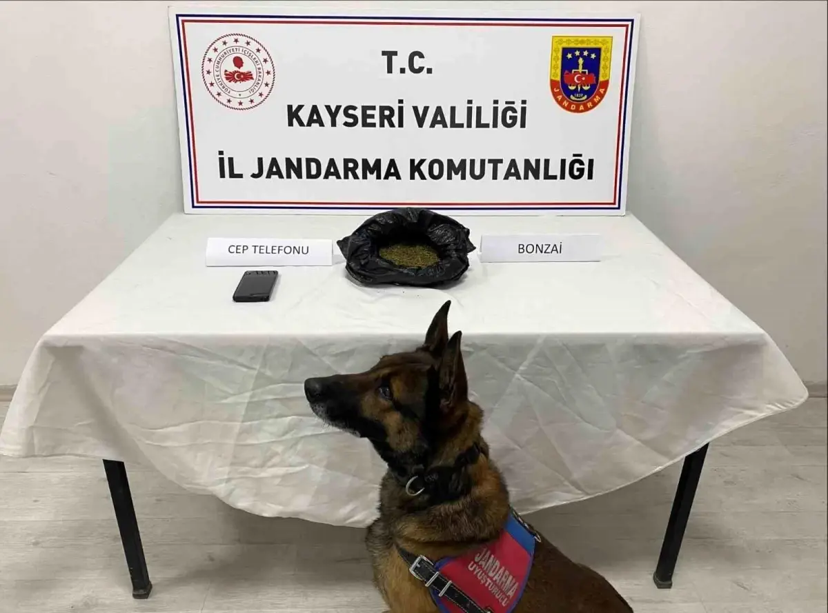 Kayseri jandarma operasyonu