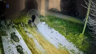 Diyarbakır’da 45 Yaşındaki Kadının Son Görüntüleri Açığa Çıktı