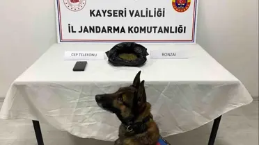 Kayseri'de Jandarma Operasyonu: 515 Gram Uyuşturucu Ele Geçirildi