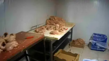 Kocaeli Çayırova’da Ruhsatsız Tavuk Parçalama Tesisi Denetimde Kapatıldı