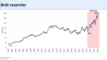 Rezervlerin yeni rekor seviyesini gösteren grafik