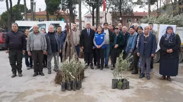 Muğla’da Tarımsal Üreticilere Zeytin ve Ceviz Fidanı Desteği