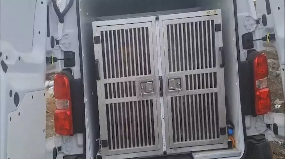 Diyarbakır Çınar’da Zihinsel Engelli Kadın ve Çocukları Kayıp: Arama Çalışmaları Hız Kesmeden Sürüyor