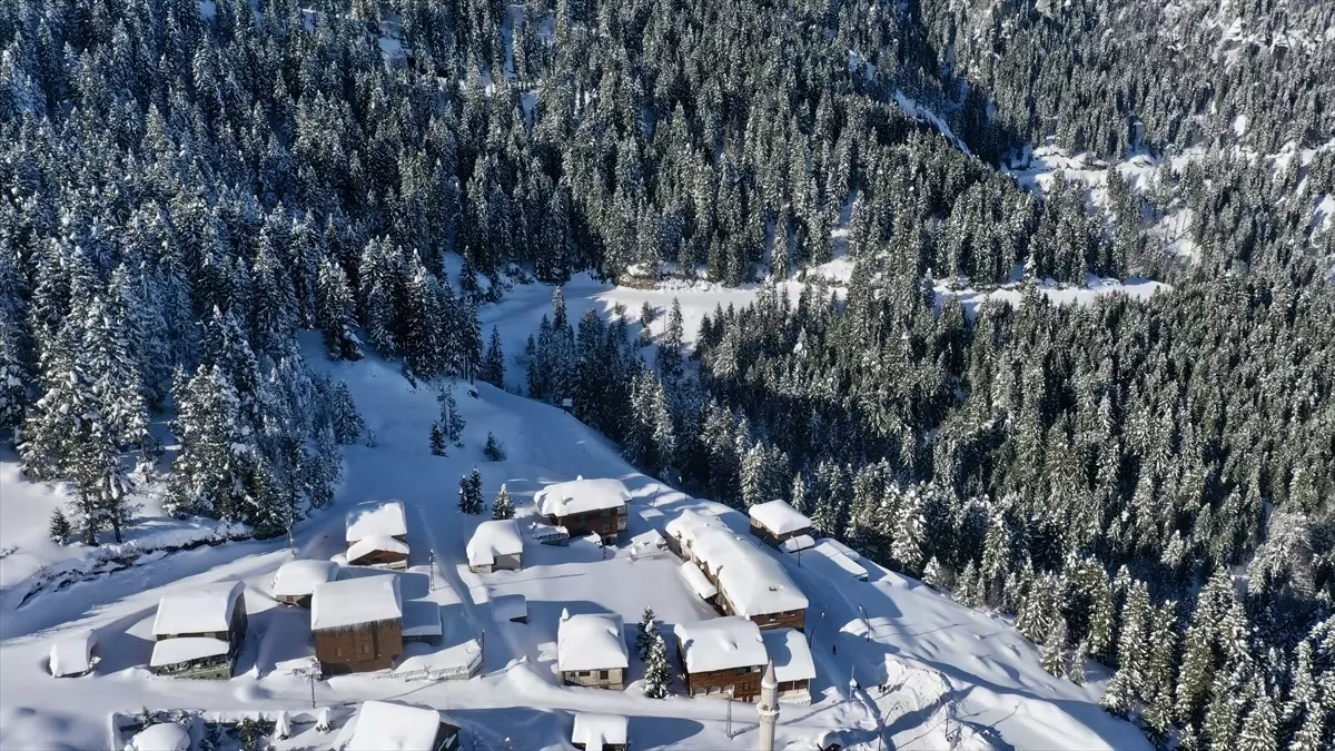 Karlarla Bembeyaz Kulakkaya Yaylası Giresun’da Büyüleyici Bir Kış Manzarası Sunuyor