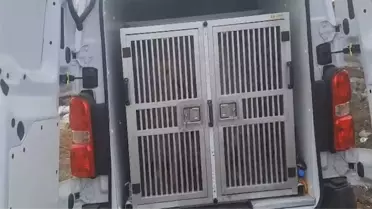 Diyarbakır Çınar’da Zihinsel Engelli Kadın ve Çocukları Kayıp: Arama Çalışmaları Hız Kesmeden Sürüyor